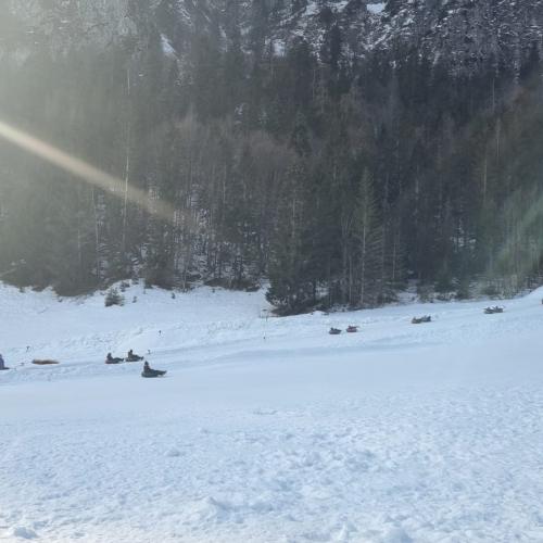 Snowtuben6
