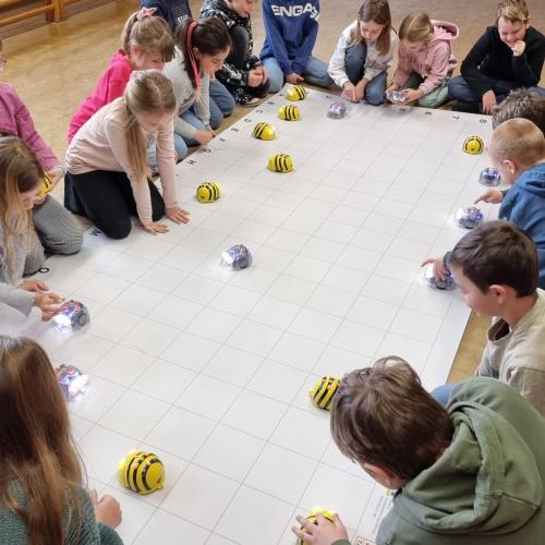 Bee-Bot_3a_2