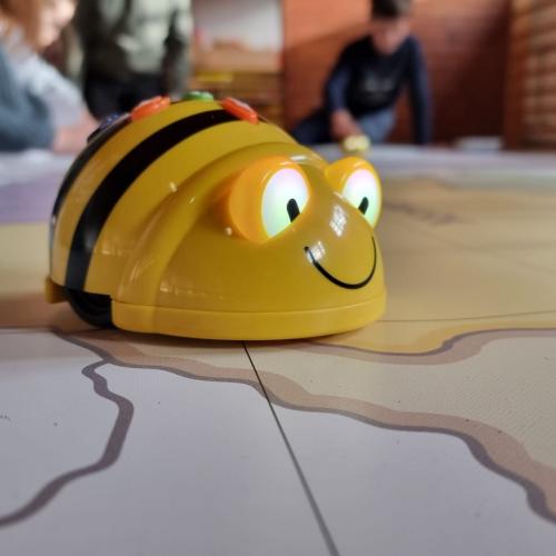 Bee-Bot_3a_1