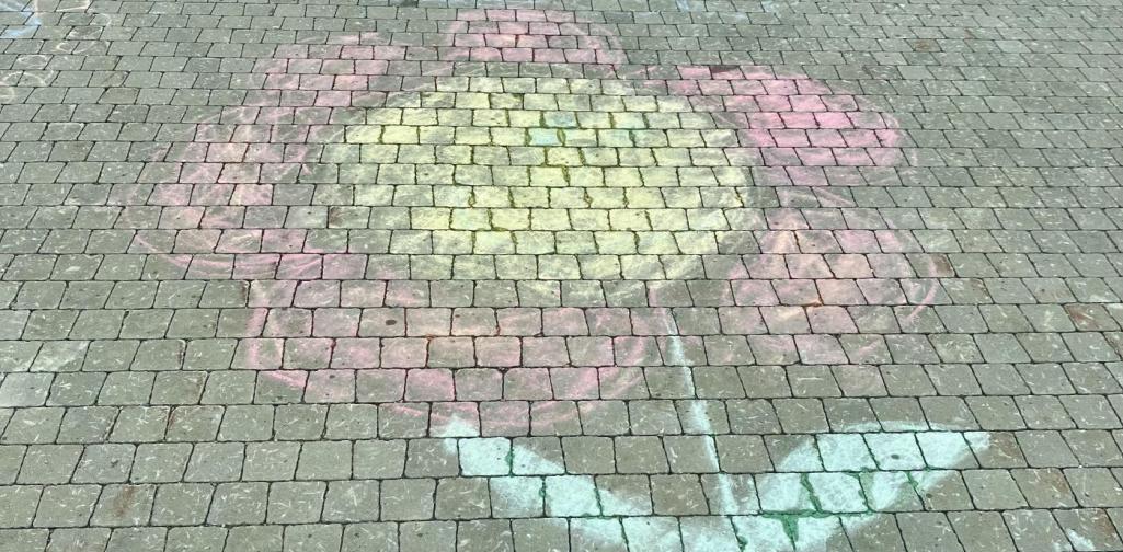 Bunt2